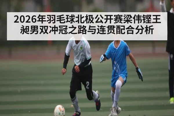 2026年羽毛球北极公开赛梁伟铿王昶男双冲冠之路与连贯配合分析